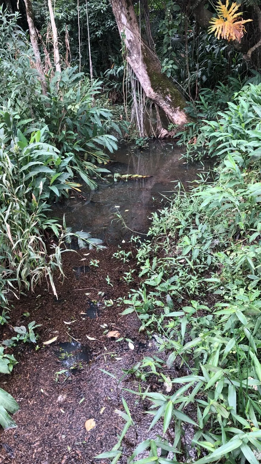 Country home for sale of 5 acres in Tatuí, SP, Brazil