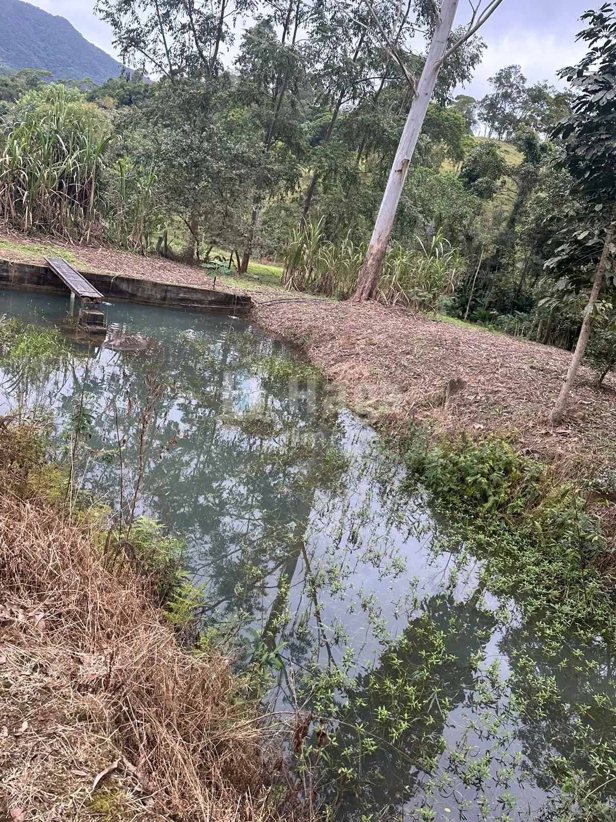 Fazenda à venda de 19 ha em Canelinha, SC, Brasil