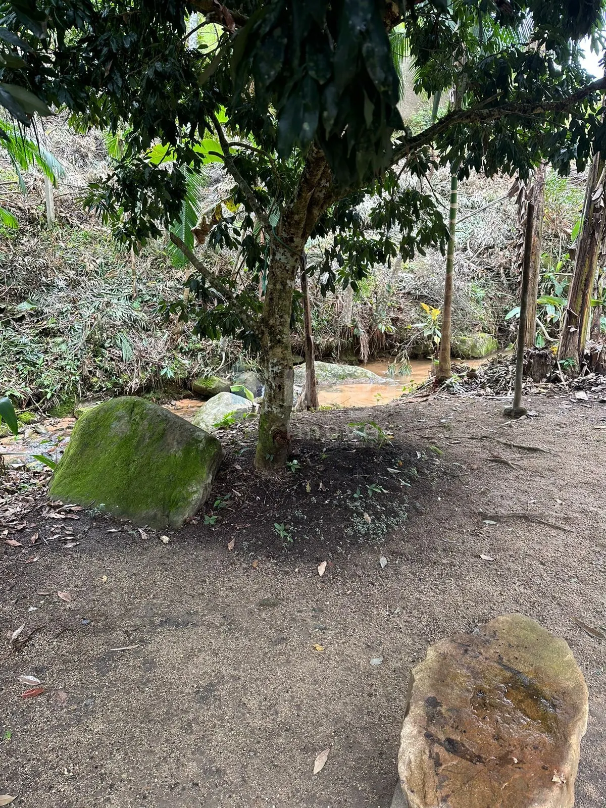 Fazenda à venda de 19 ha em Canelinha, SC, Brasil