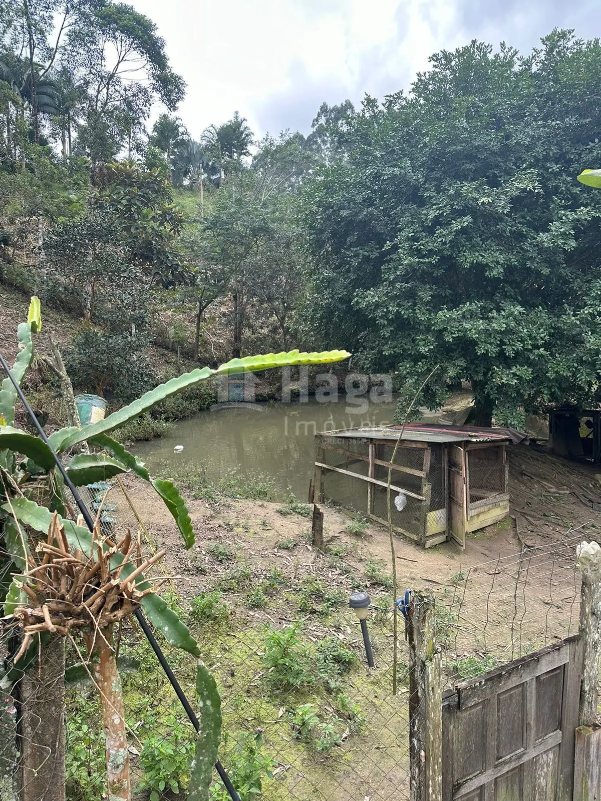 Fazenda à venda de 19 ha em Canelinha, SC, Brasil