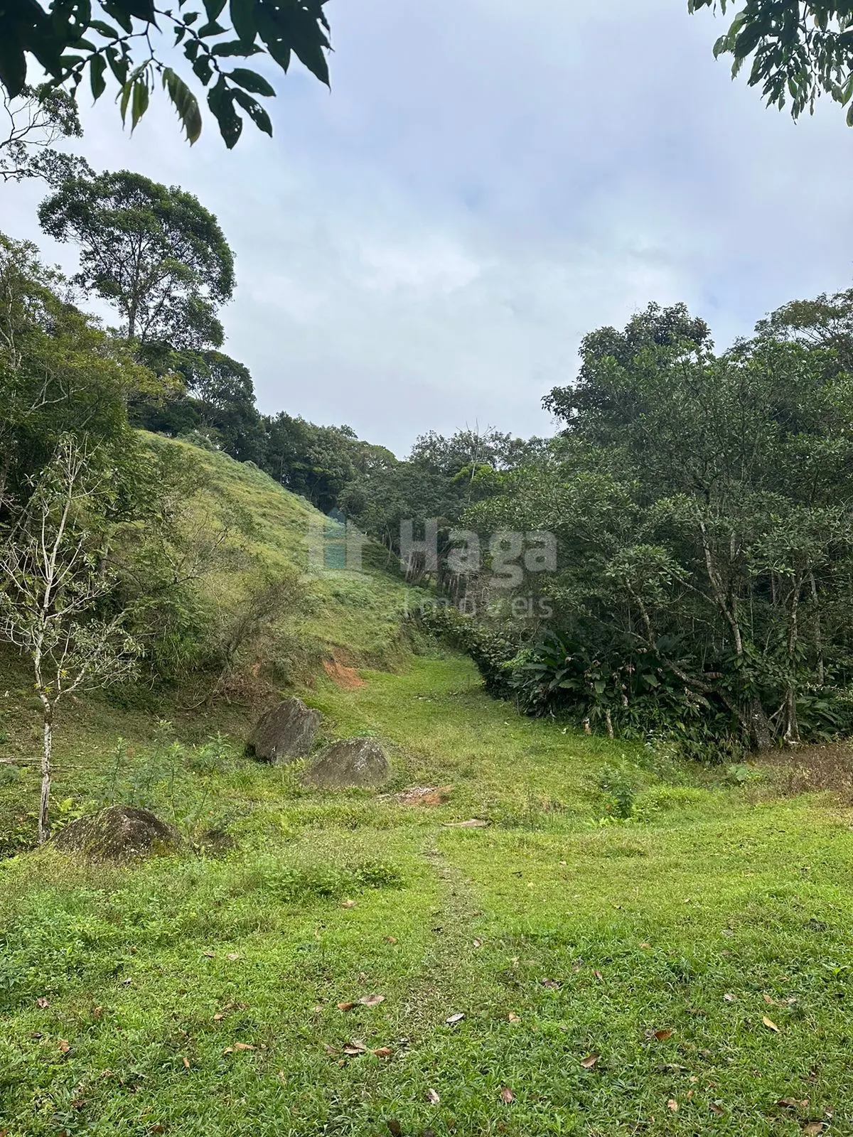 Fazenda à venda de 19 ha em Canelinha, SC, Brasil