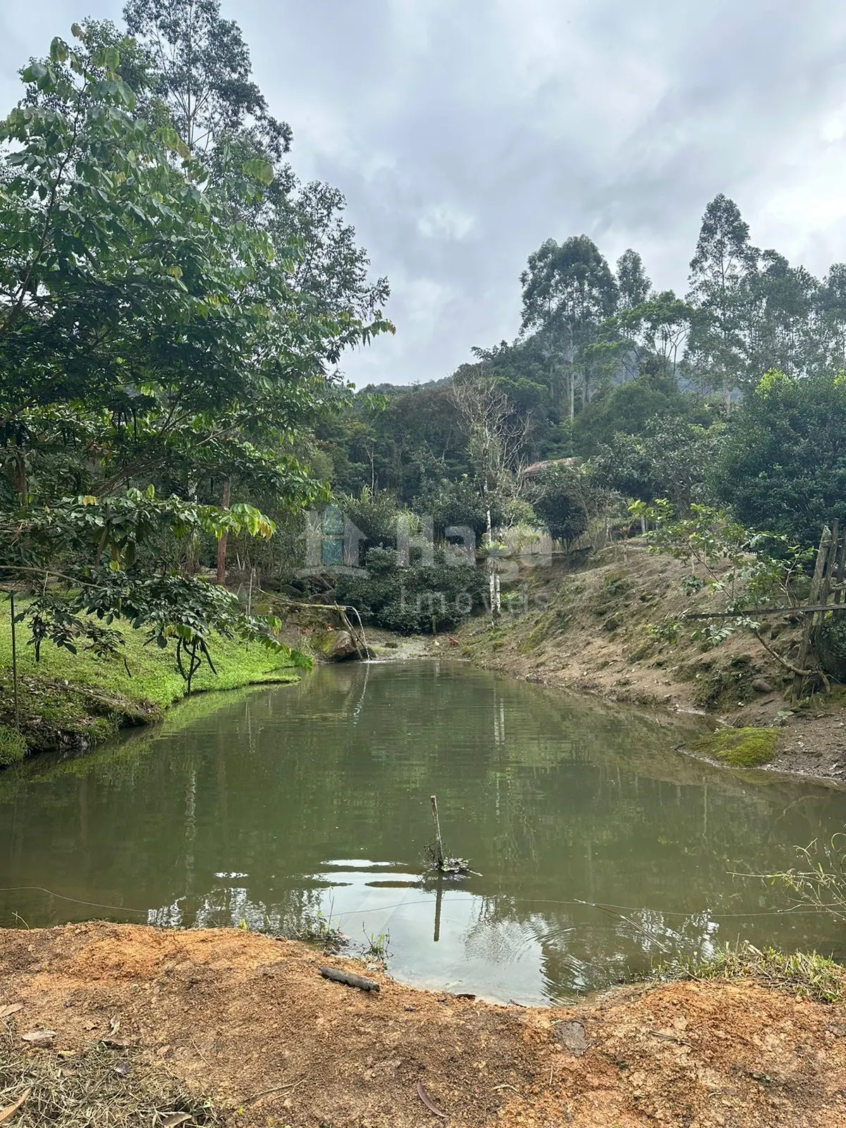 Fazenda à venda de 19 ha em Canelinha, SC, Brasil
