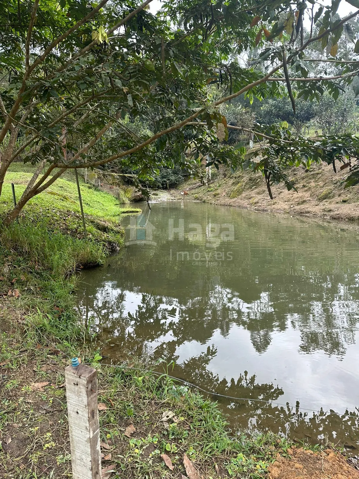 Fazenda à venda de 19 ha em Canelinha, SC, Brasil