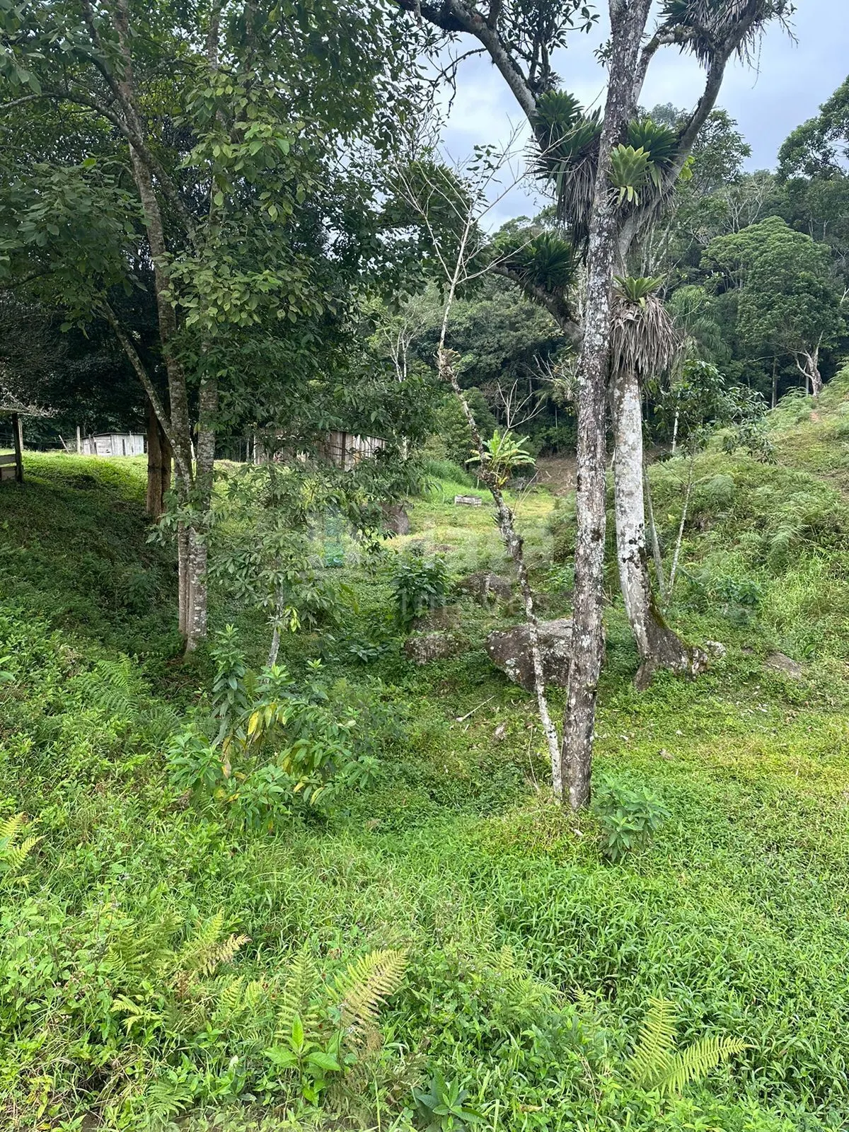 Fazenda à venda de 19 ha em Canelinha, SC, Brasil