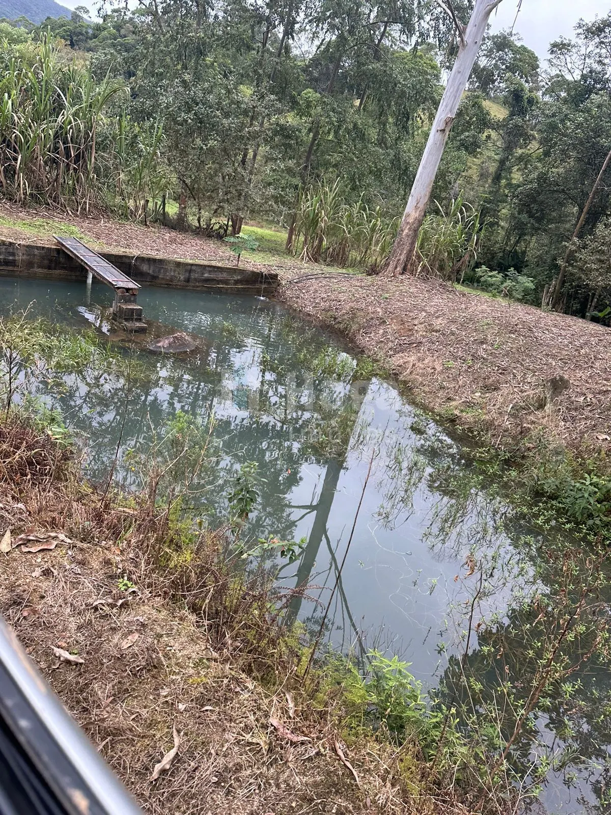 Fazenda à venda de 19 ha em Canelinha, SC, Brasil