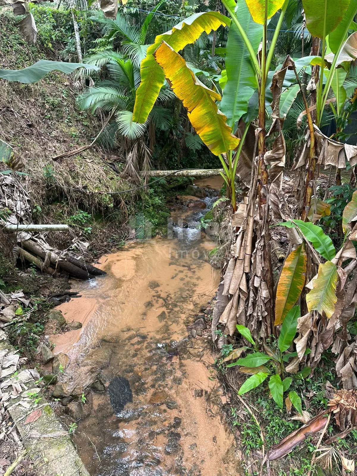 Fazenda à venda de 19 ha em Canelinha, SC, Brasil