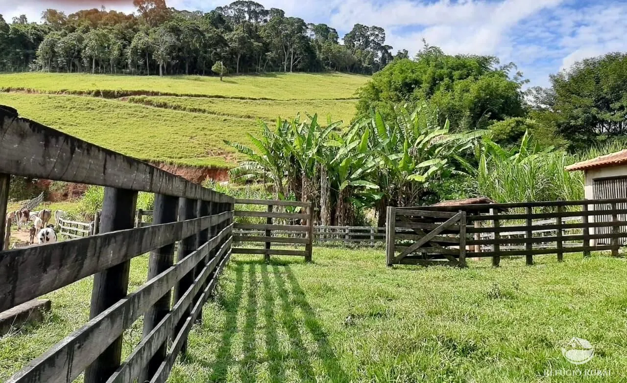 Fazenda à venda de 150 ha em Cunha, SP, Brasil