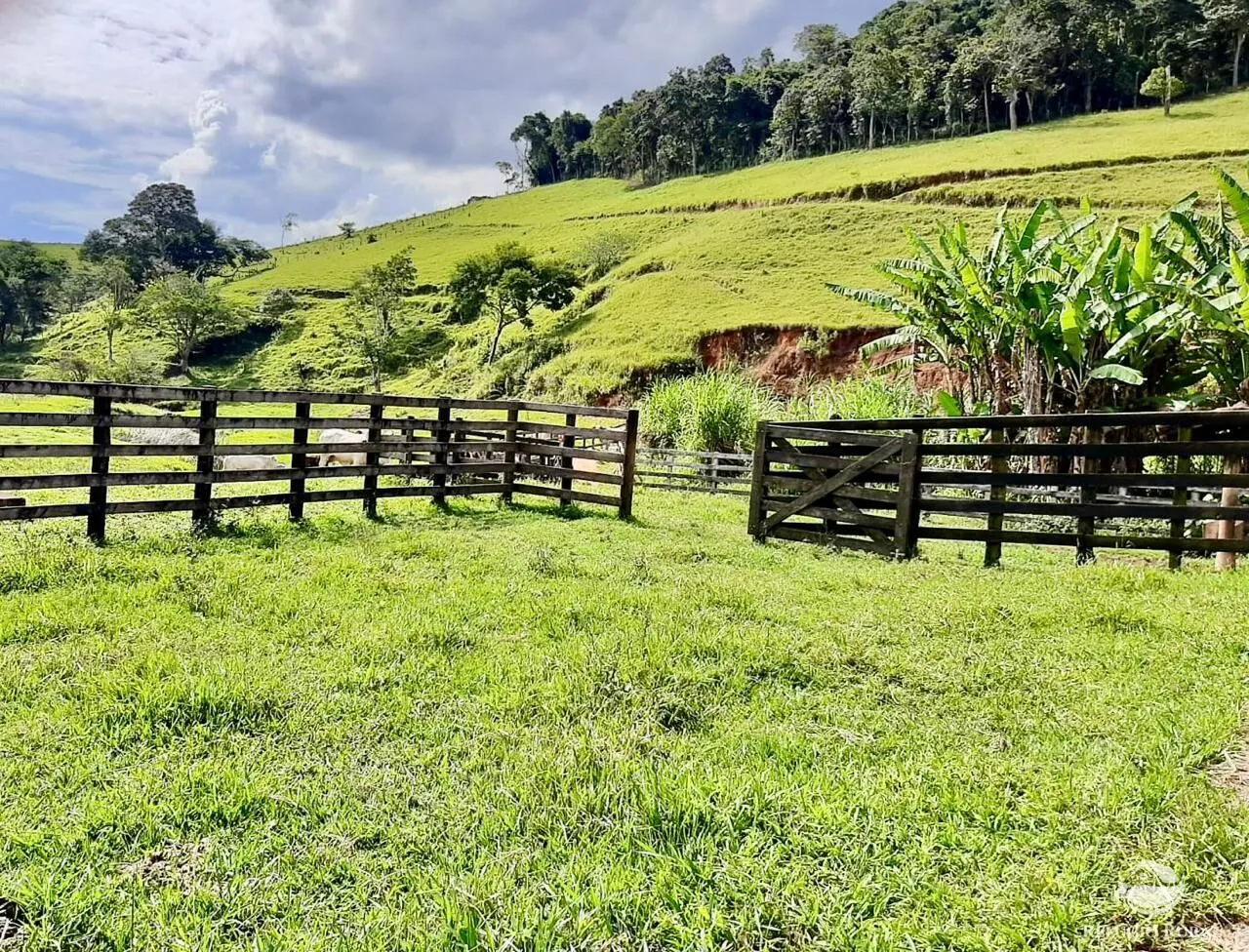 Fazenda à venda de 150 ha em Cunha, SP, Brasil