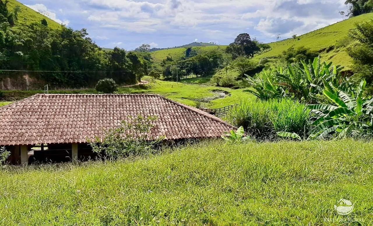 Fazenda à venda de 150 ha em Cunha, SP, Brasil