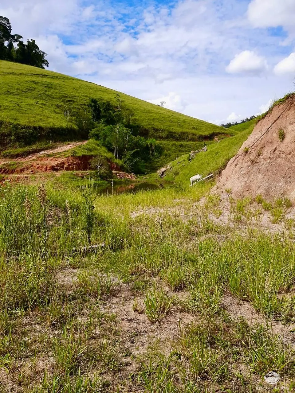 Fazenda à venda de 150 ha em Cunha, SP, Brasil