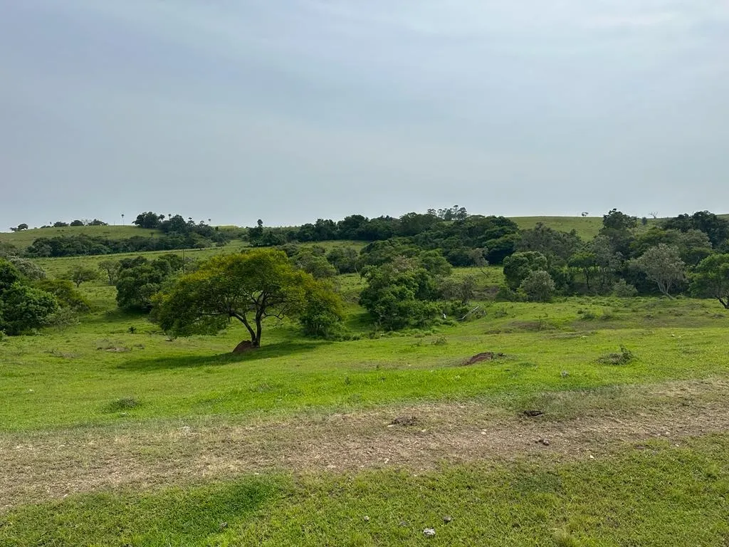Sítio à venda de 53 ha em Porangaba, SP, Brasil