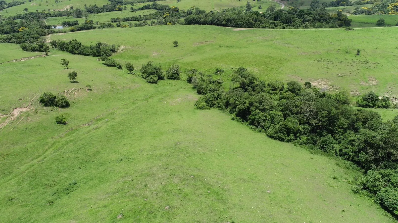Sítio à venda de 53 ha em Porangaba, SP, Brasil