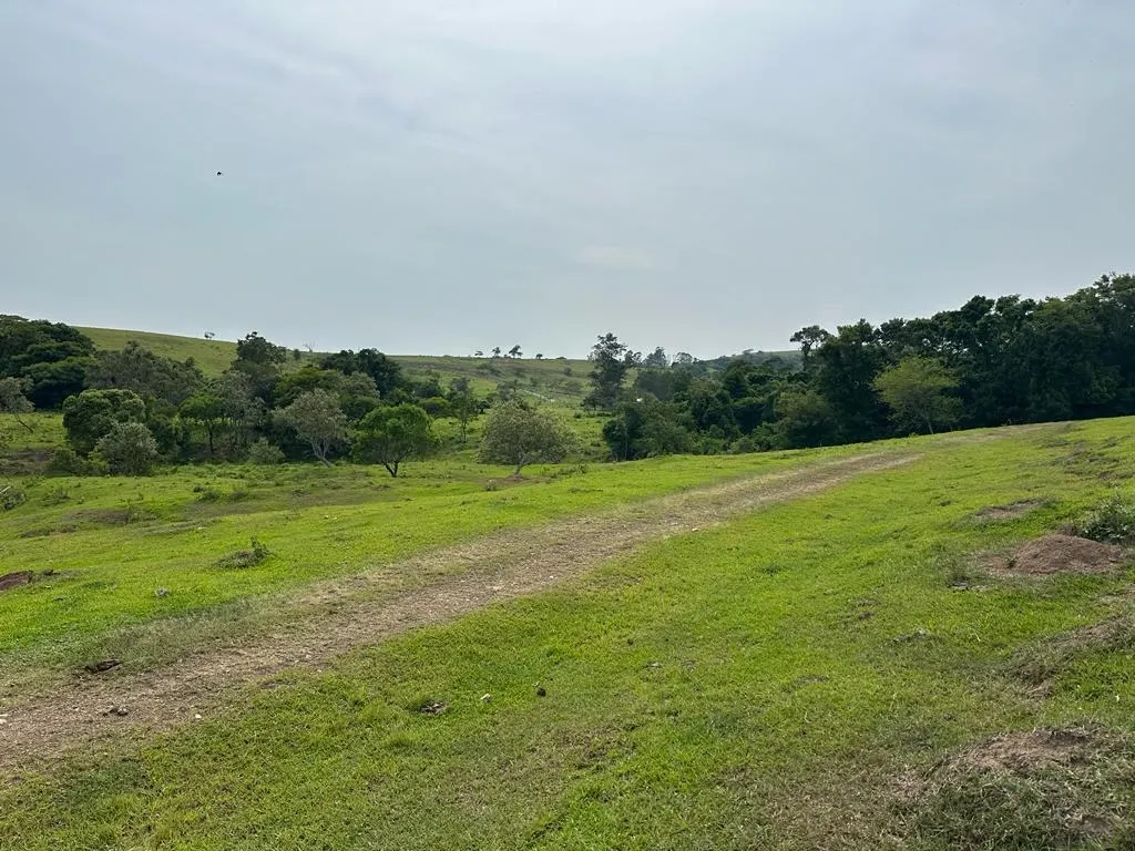 Sítio à venda de 53 ha em Porangaba, SP, Brasil