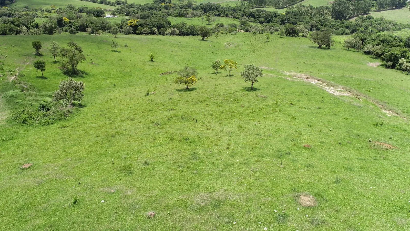 Sítio à venda de 53 ha em Porangaba, SP, Brasil