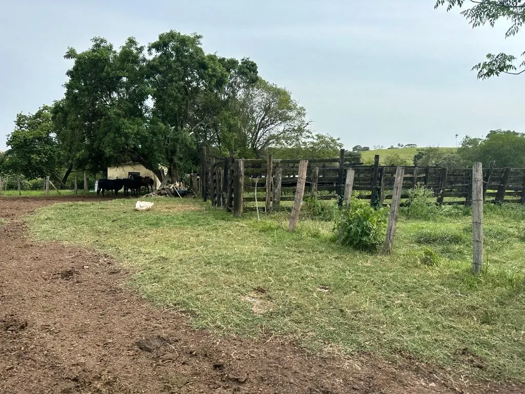 Sítio à venda de 53 ha em Porangaba, SP, Brasil