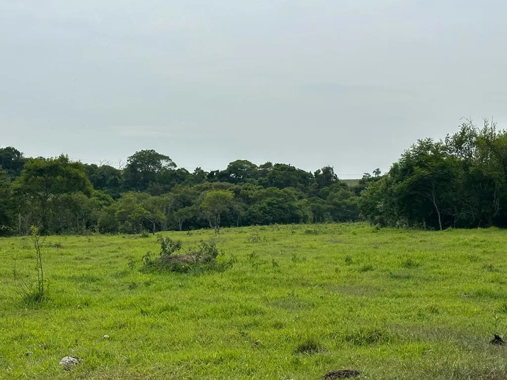 Sítio à venda de 53 ha em Porangaba, SP, Brasil