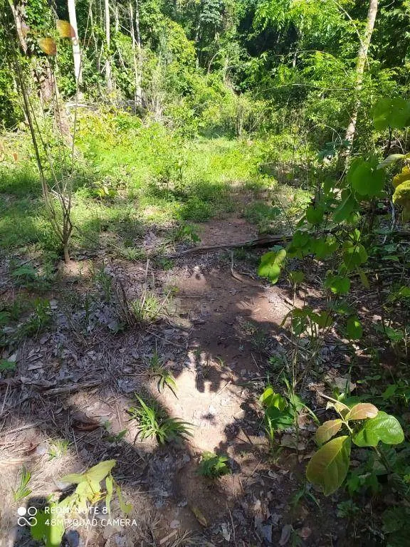 Farm for sale of 3,212 acres in Chapada dos Guimarães, MT, Brazil