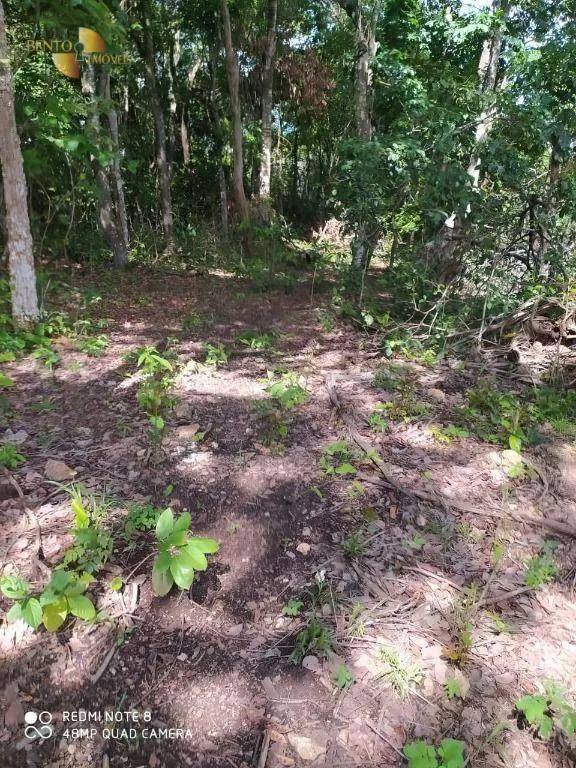 Farm for sale of 3,212 acres in Chapada dos Guimarães, MT, Brazil