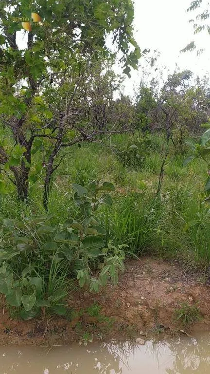 Farm for sale of 3,212 acres in Chapada dos Guimarães, MT, Brazil