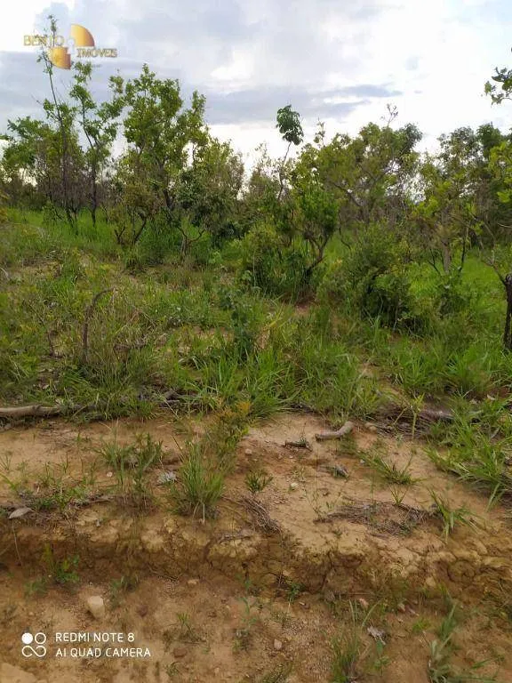 Farm for sale of 3,212 acres in Chapada dos Guimarães, MT, Brazil