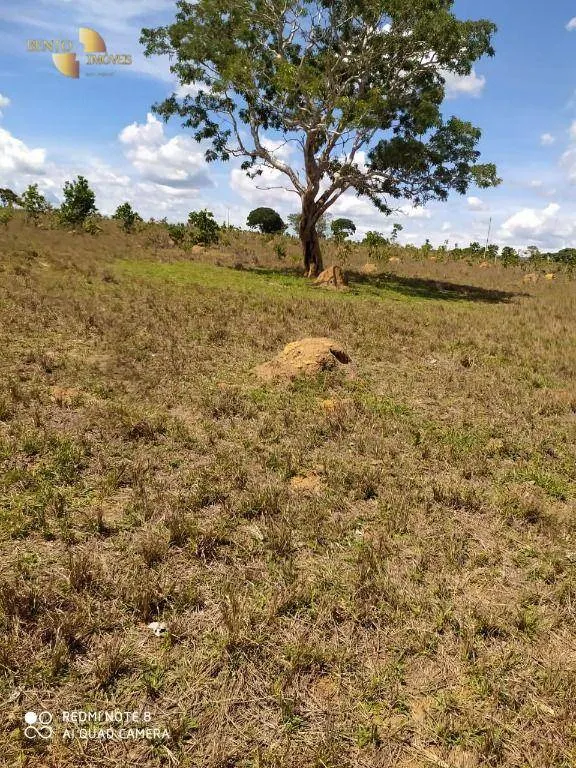 Farm for sale of 3,212 acres in Chapada dos Guimarães, MT, Brazil