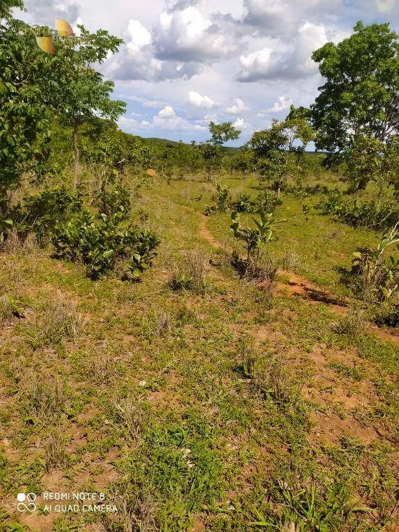 Farm for sale of 3,212 acres in Chapada dos Guimarães, MT, Brazil