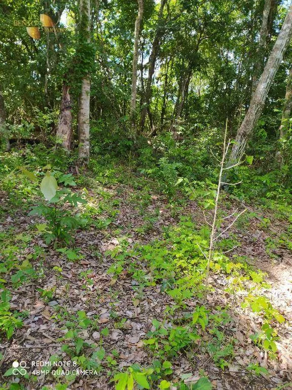 Farm for sale of 3,212 acres in Chapada dos Guimarães, MT, Brazil
