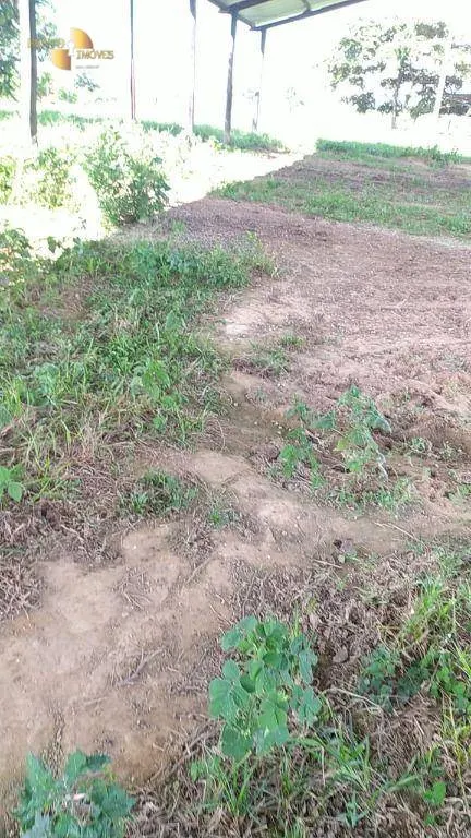 Farm for sale of 3,212 acres in Chapada dos Guimarães, MT, Brazil