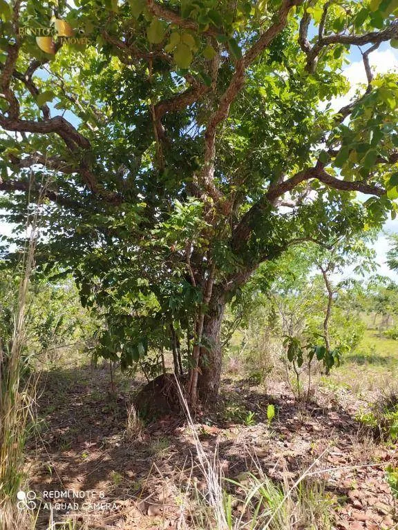 Farm for sale of 3,212 acres in Chapada dos Guimarães, MT, Brazil