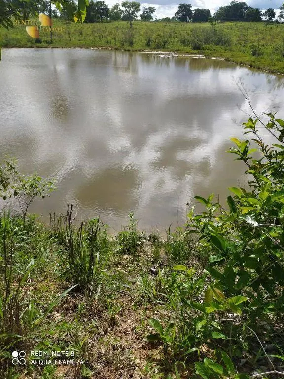 Farm for sale of 3,212 acres in Chapada dos Guimarães, MT, Brazil