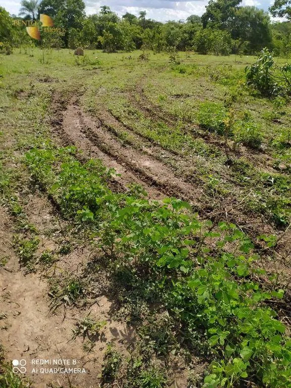 Farm for sale of 3,212 acres in Chapada dos Guimarães, MT, Brazil