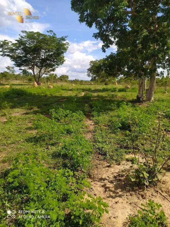 Farm for sale of 3,212 acres in Chapada dos Guimarães, MT, Brazil