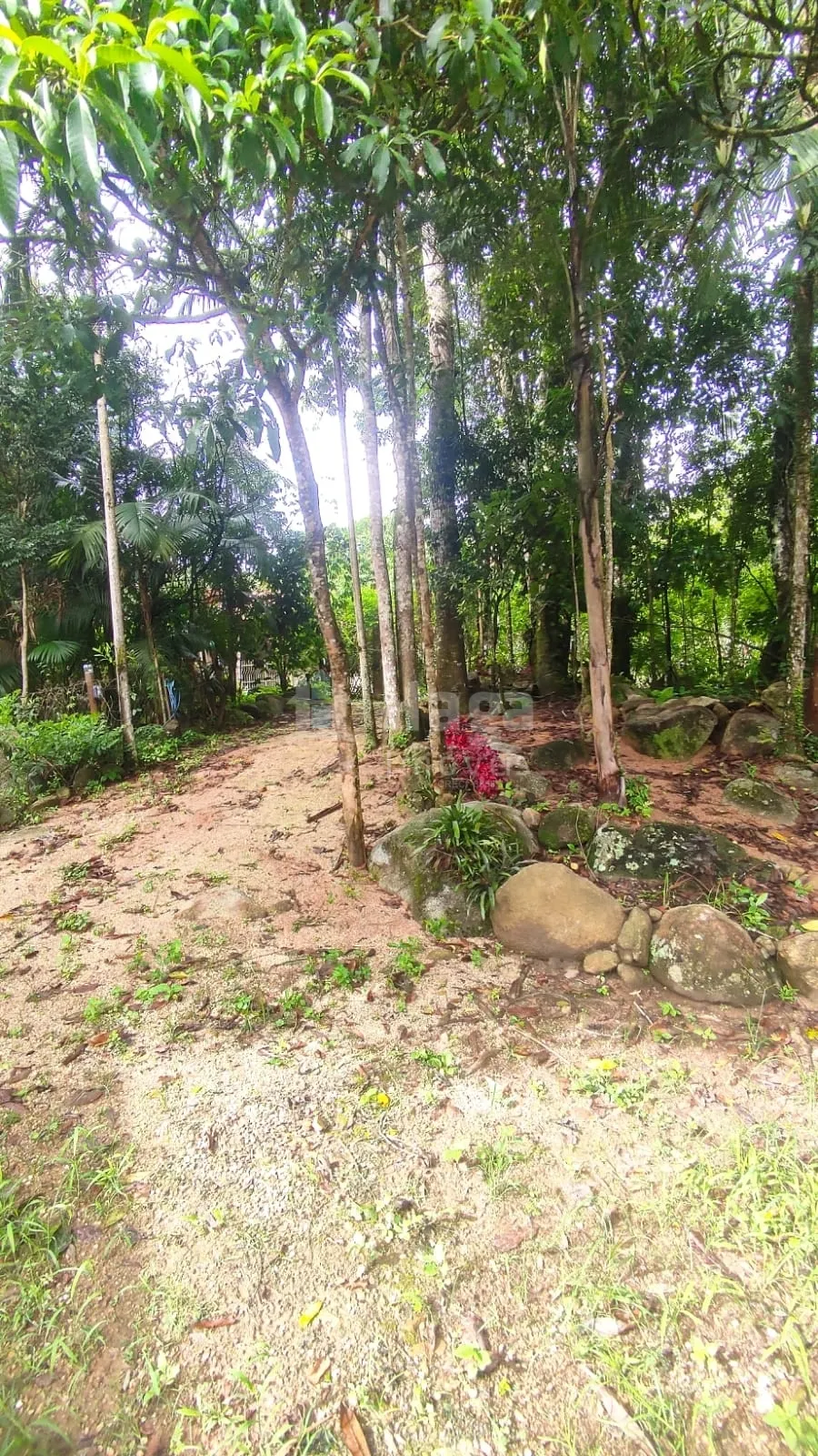 Chácara à venda de 900 m² em São João Batista, SC, Brasil