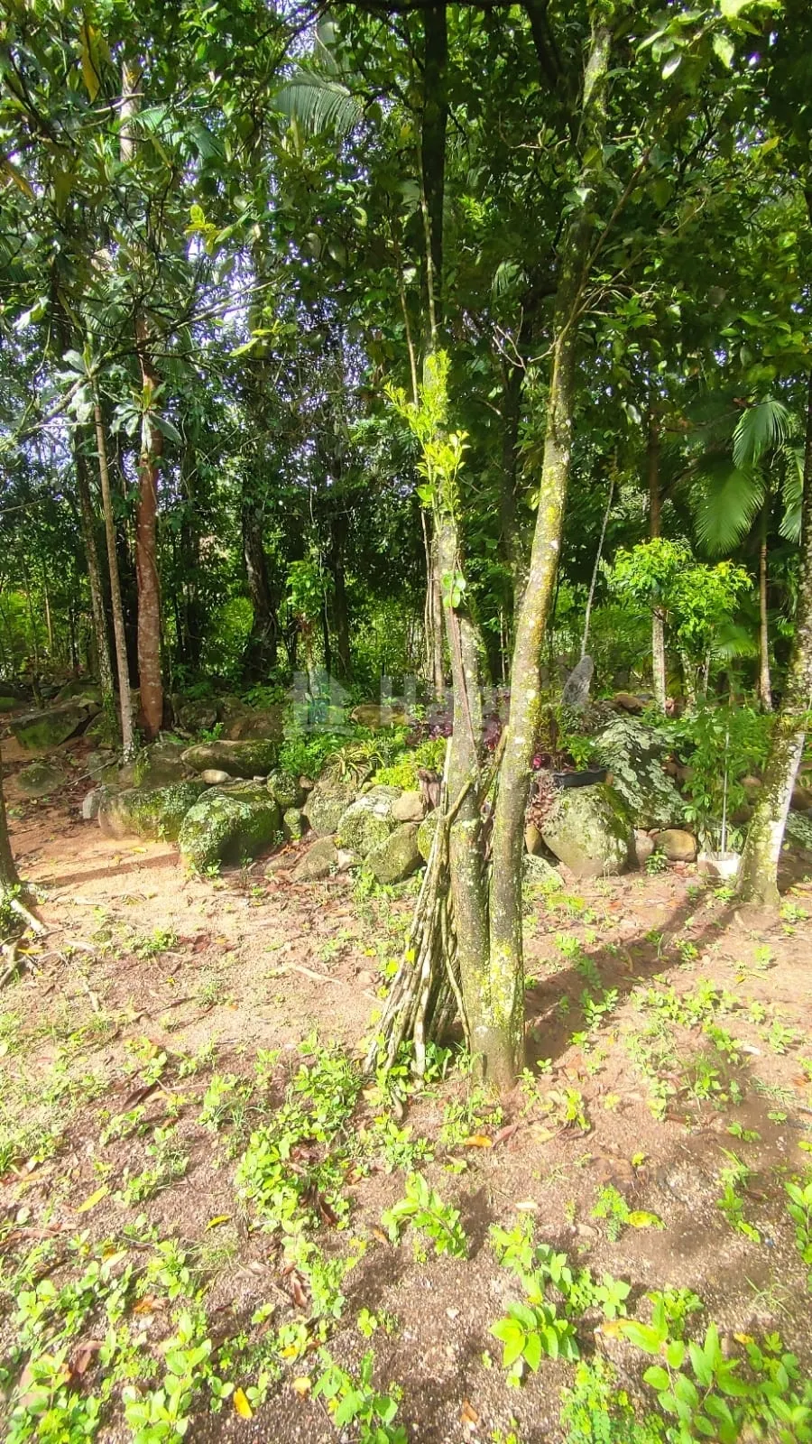 Chácara à venda de 900 m² em São João Batista, SC, Brasil