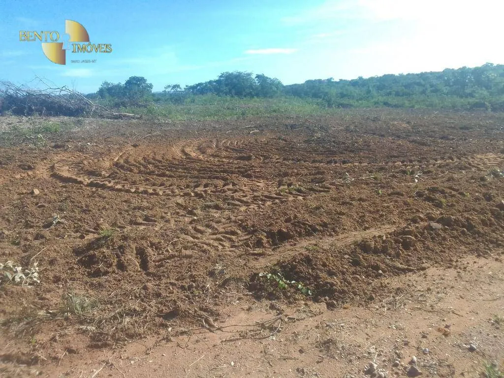 Fazenda à venda de 1.550 ha em Nossa Senhora do Livramento, MT, Brasil