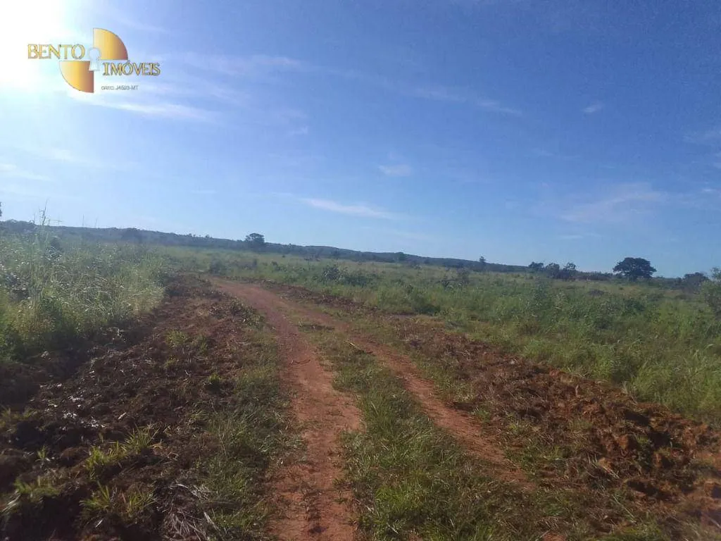 Fazenda à venda de 1.550 ha em Nossa Senhora do Livramento, MT, Brasil