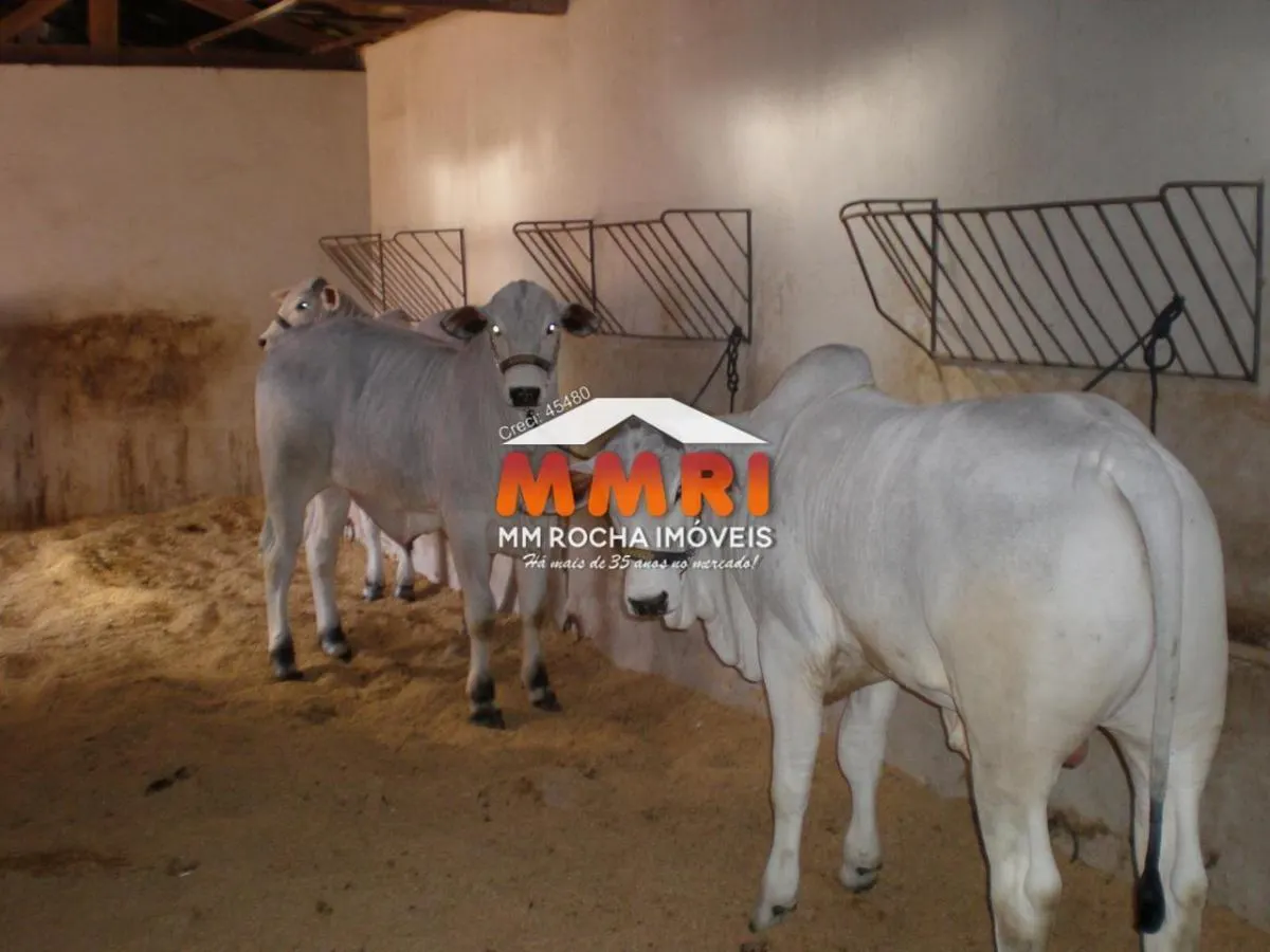 Fazenda à venda de 603 ha em Avaré, SP, Brasil