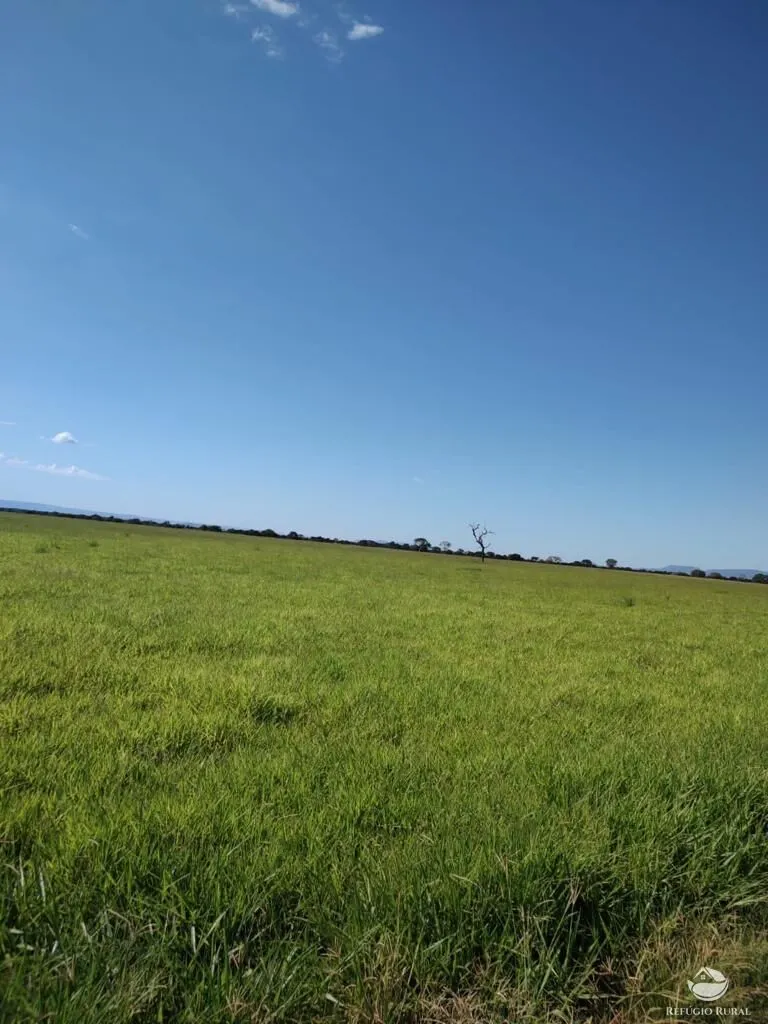Fazenda à venda de 4.859 ha em Goiás, GO, Brasil