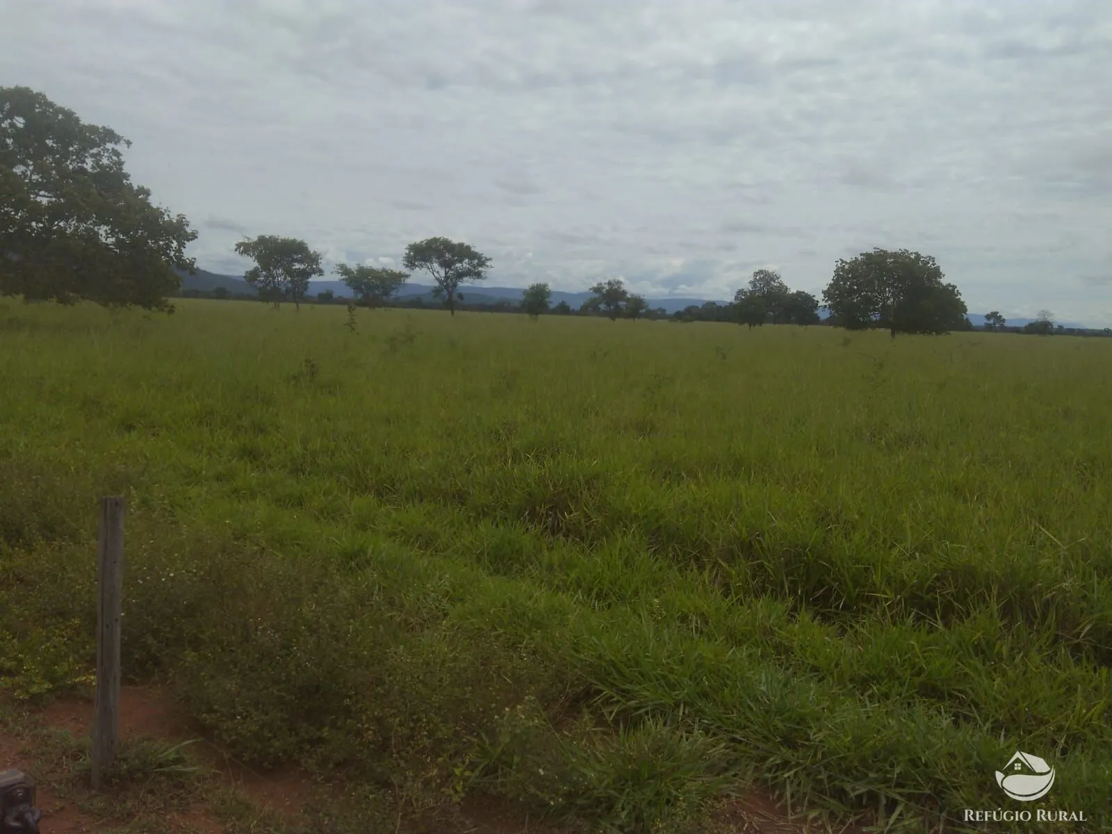 Fazenda à venda de 4.859 ha em Goiás, GO, Brasil