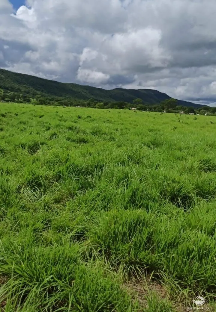 Fazenda à venda de 4.859 ha em Goiás, GO, Brasil