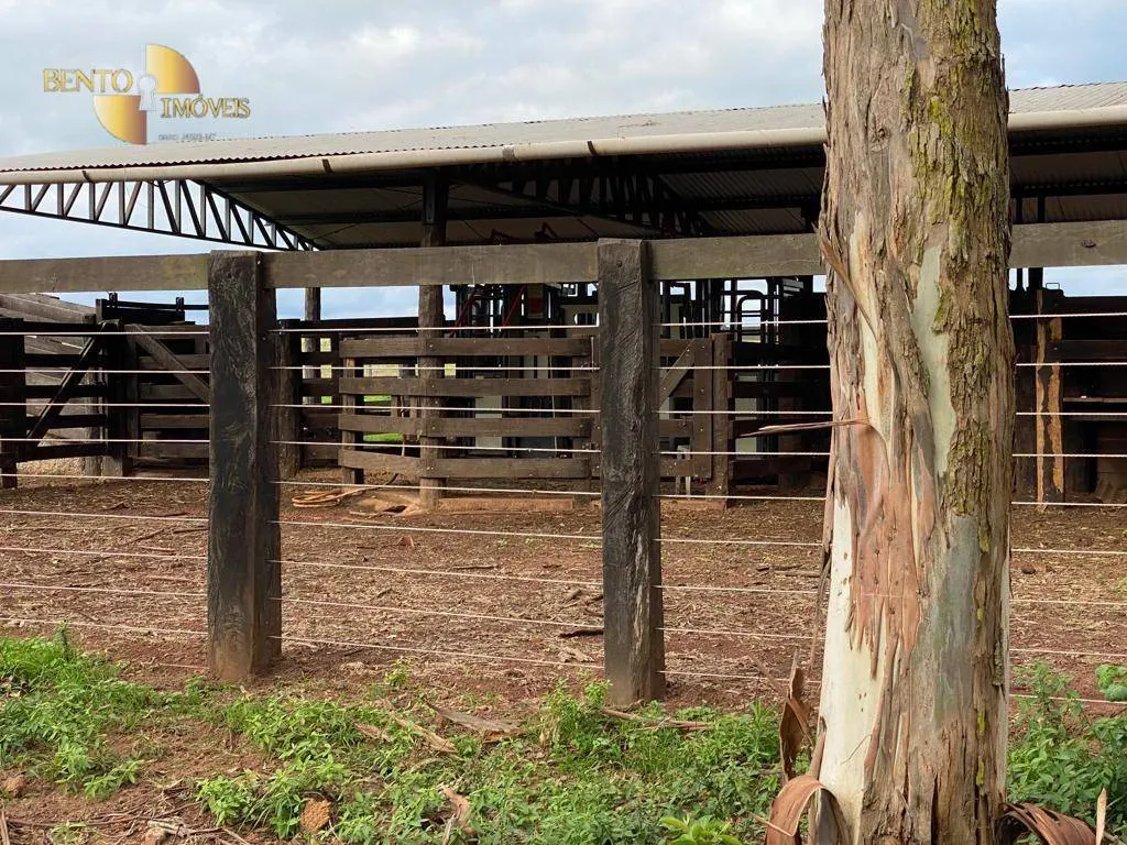 Farm for sale of 1,409 acres in Primavera do Leste, MT, Brazil