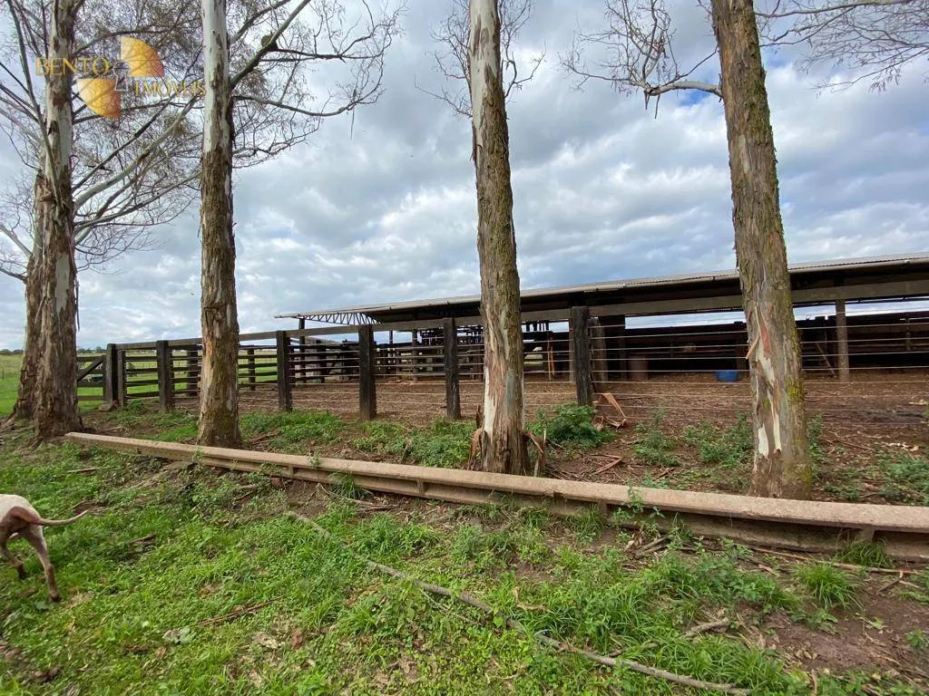 Farm for sale of 1,409 acres in Primavera do Leste, MT, Brazil