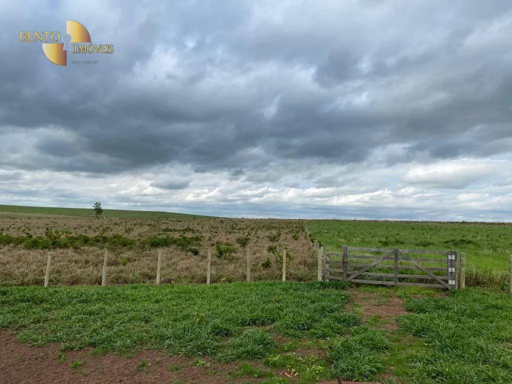Farm for sale of 1,409 acres in Primavera do Leste, MT, Brazil