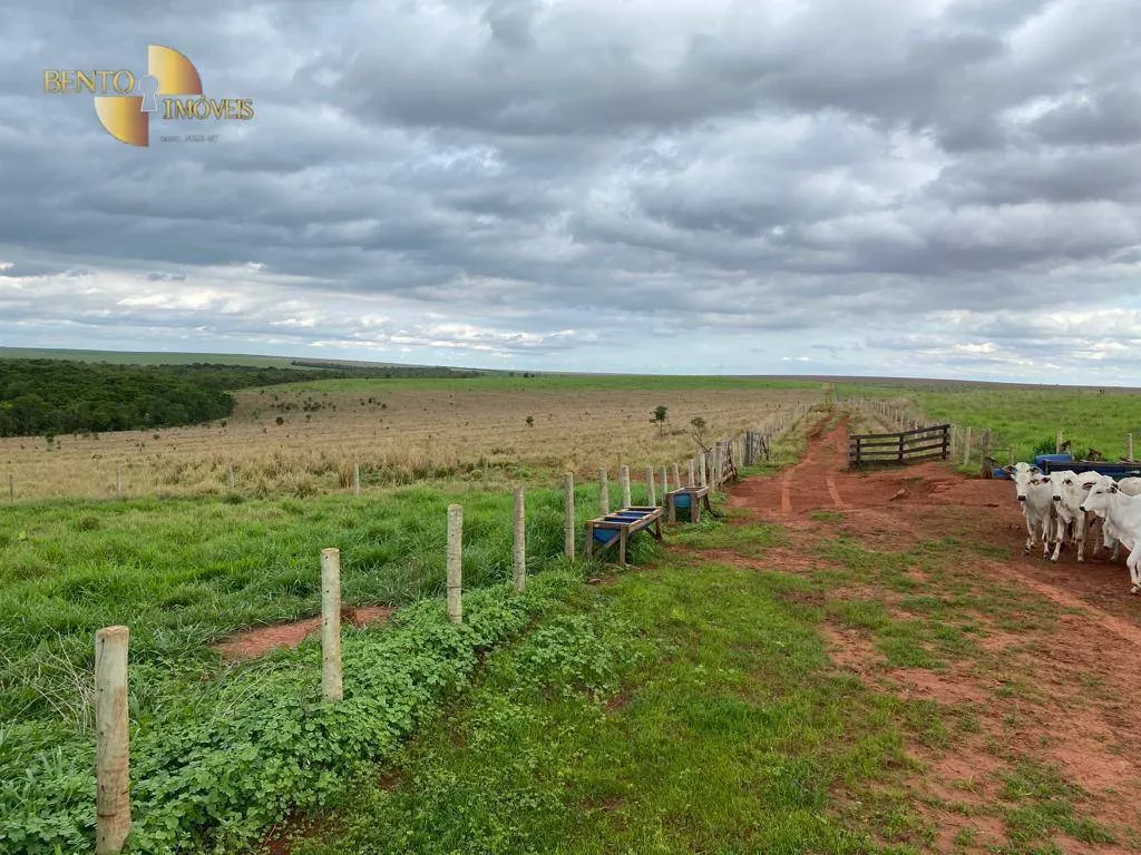 Farm for sale of 1,409 acres in Primavera do Leste, MT, Brazil