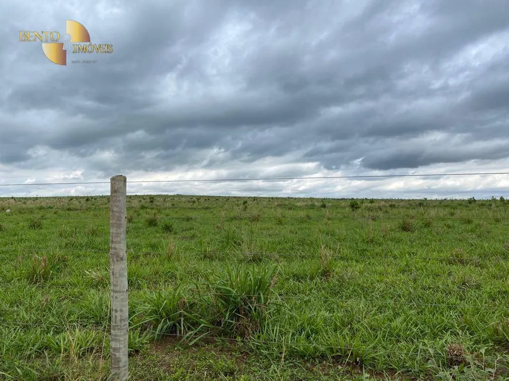 Farm for sale of 1,409 acres in Primavera do Leste, MT, Brazil