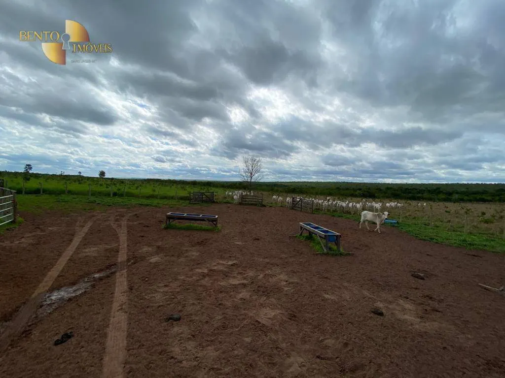 Farm for sale of 1,409 acres in Primavera do Leste, MT, Brazil