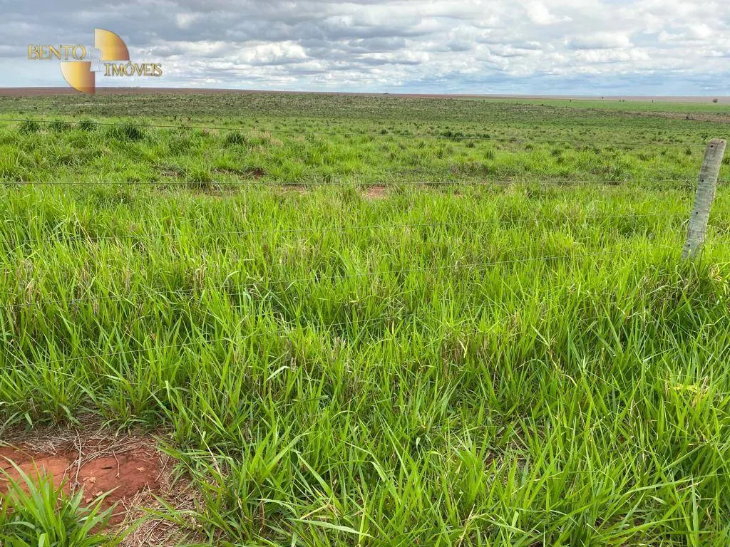 Farm for sale of 1,409 acres in Primavera do Leste, MT, Brazil