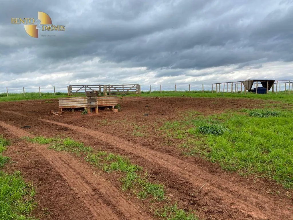 Farm for sale of 1,409 acres in Primavera do Leste, MT, Brazil