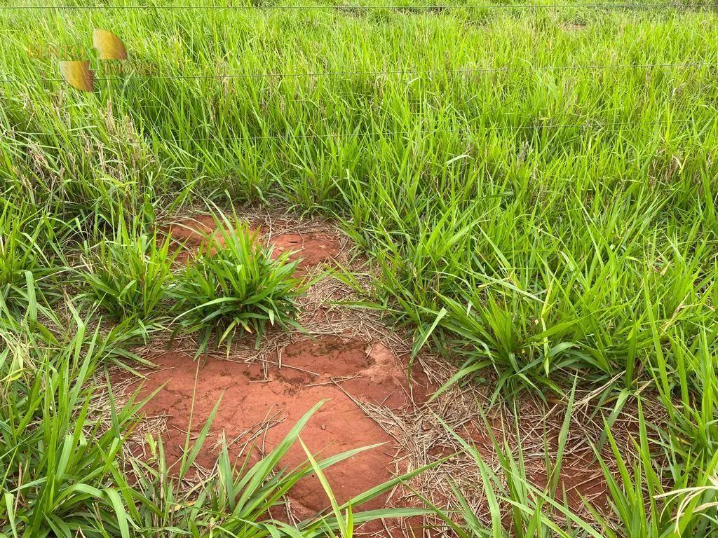 Farm for sale of 1,409 acres in Primavera do Leste, MT, Brazil