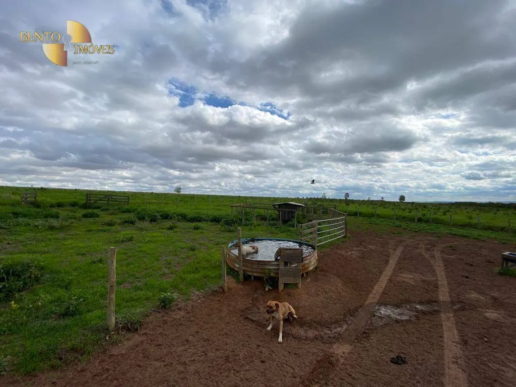 Farm for sale of 1,409 acres in Primavera do Leste, MT, Brazil